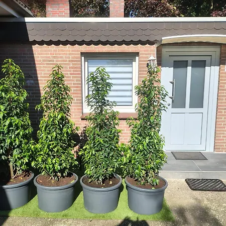Apartment Kleine Viktoria